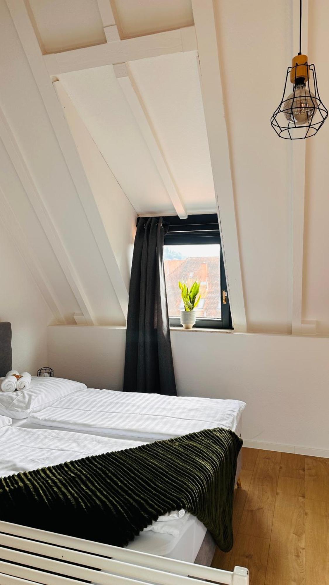 Amao-Green I 90Qm I Penthouse Maisonette Mit Rooftop I City Center I King-Size Betten Lahr  Exterior foto
